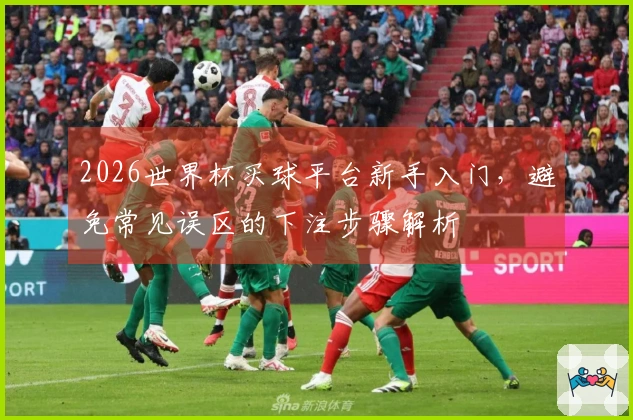 2026世界杯买球平台新手入门，避免常见误区的下注步骤解析