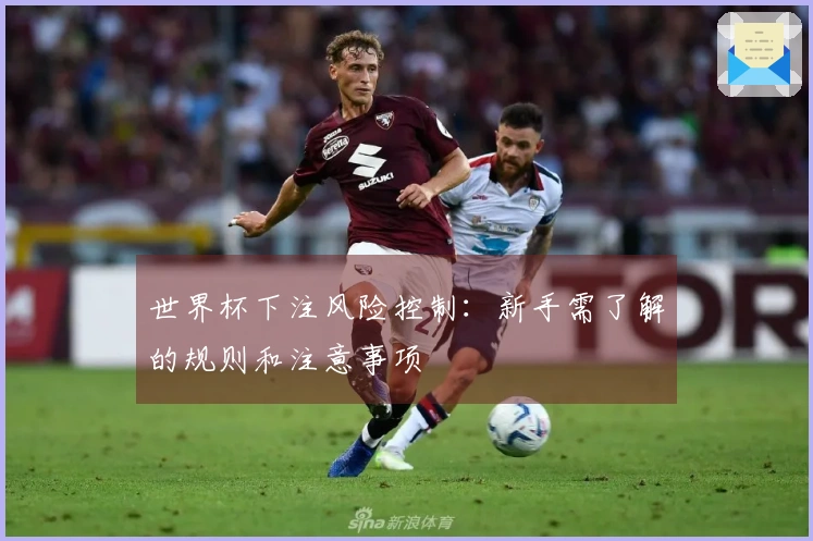 世界杯下注风险控制：新手需了解的规则和注意事项