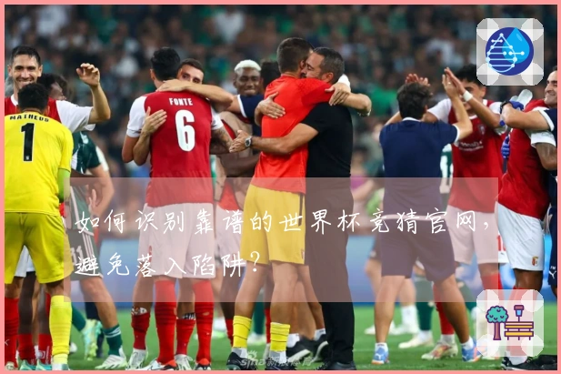如何识别靠谱的世界杯竞猜官网，避免落入陷阱？