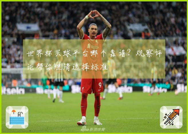 世界杯买球平台哪个靠谱？观察评论帮你理清选择标准