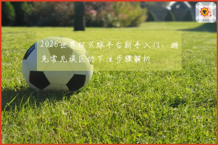 2026世界杯买球平台新手入门，避免常见误区的下注步骤解析